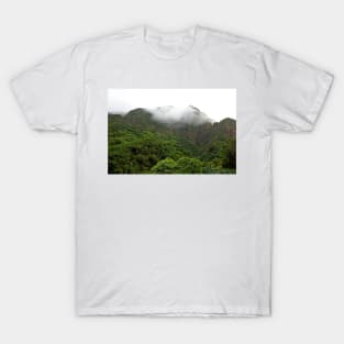 Iao Valley State Park Study 5 T-Shirt